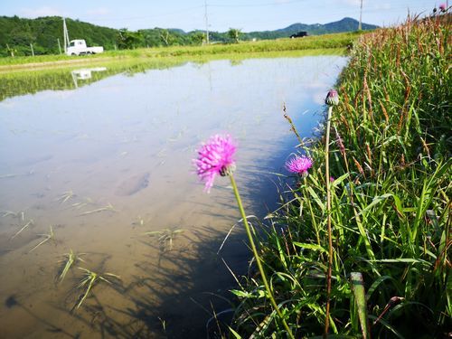 �����ߤ��������