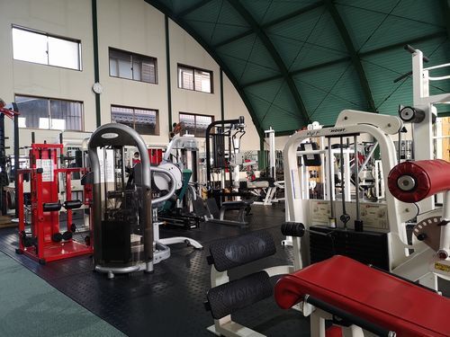 �ȥ졼�˥󥰥ޥ���