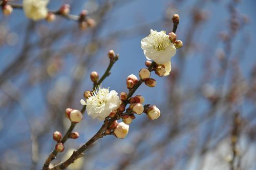 ���¤��ߤβ֤��餭�Ϥ�Ƥ��ޤ���