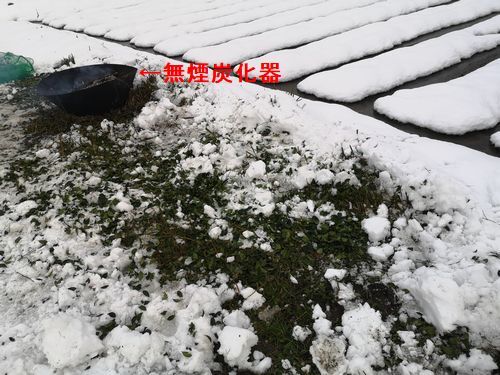 ǳ�䤷�����ޤ���