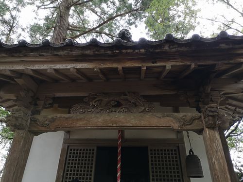 �翹���ҤϤ褯�����