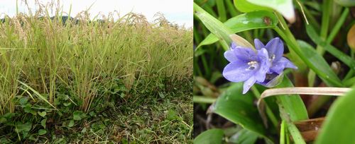 ����Υ��ʥ�������˼��Ԥ�������