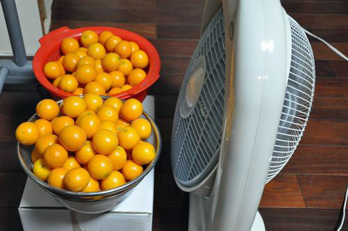 ���Ӥ����������ư�ˣ��������ƤƤ������̣�����򥢥å�