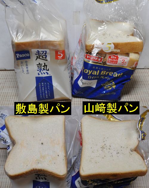 ��������˳����鸫���Ѳ�����ǧ