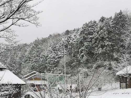 �㲽�Ѥ����줤�Ǥ�