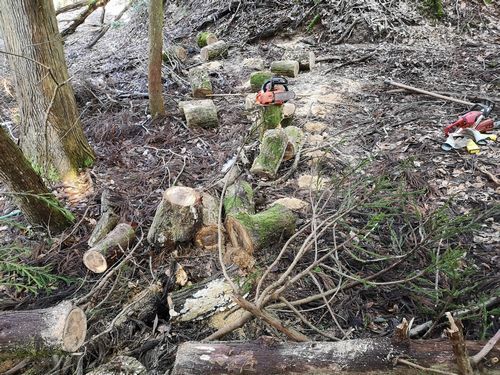 �����������Ĺ���˶��ڤꤷ�ޤ���