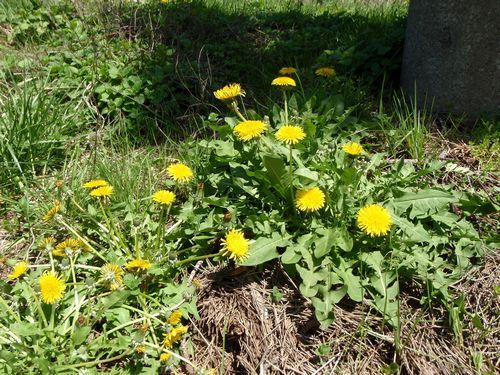 ����ݥݤ���������������