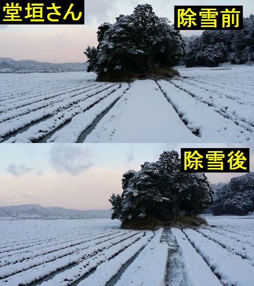 ��ƻ����㵡�ǽ��㤷�ޤ���