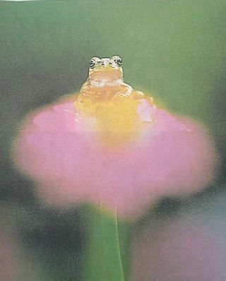 ��ʹ���� �ֲ֤ξ�Υ��ޥ������