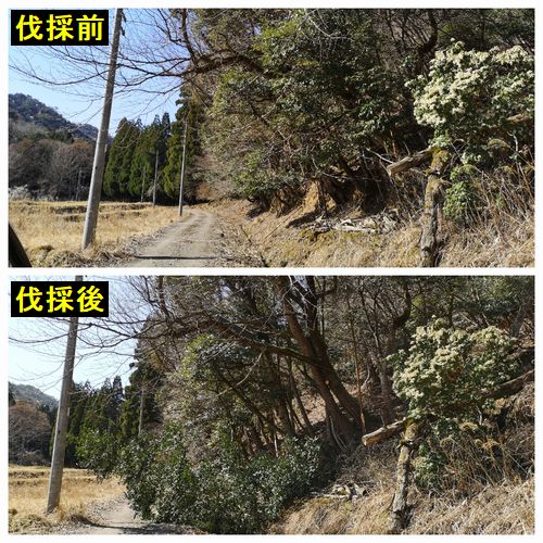 ���λޤ򻳤μ��̤�