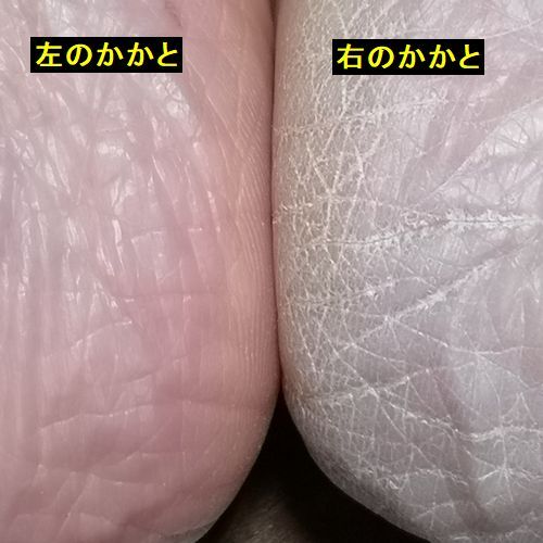 ���ϲ��⤷�Ƥ��ʤ������ȤǤ�
