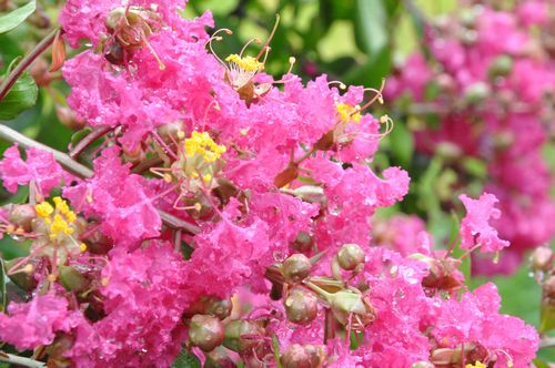 ���Υ��륹�٥�β֤�򤷤����Ǥ�