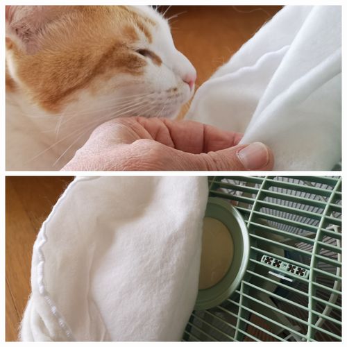 �ե��륿���ξ��֤��ǧ���ޤ���