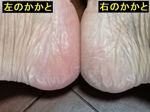 �����Ф��ޤ���
