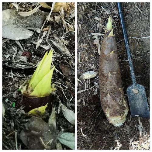 �����Υ��٤Ϥޤ������ޤ���       ;