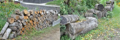 来年の冬用の薪の準備もすでにこれだけあります