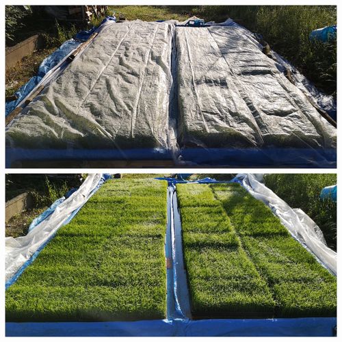 ¥ï¥ê¥Õ¤ò³°¤·¤Þ¤·¤¿