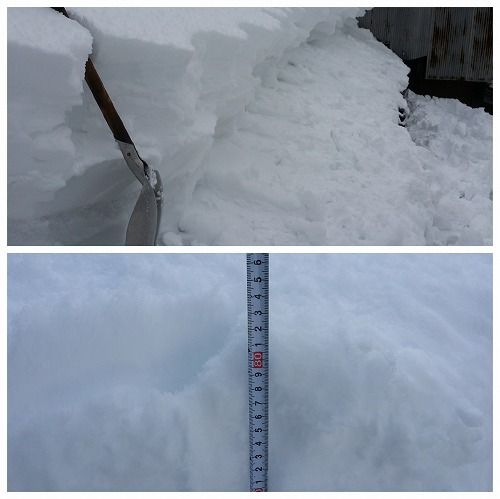 �����������Ķ����