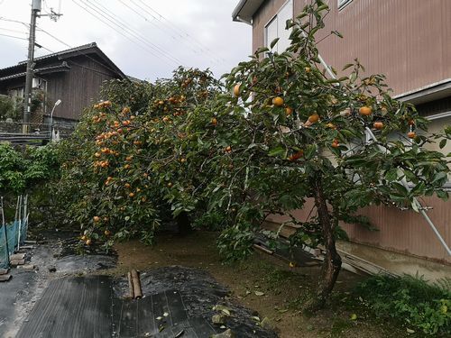 £³ËÜ¤ÎÆâ¼êÁ°¤Î£±ËÜÌܤÀ¤±¤Ç