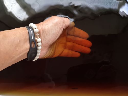 ����ο���ǻ���ʤä�