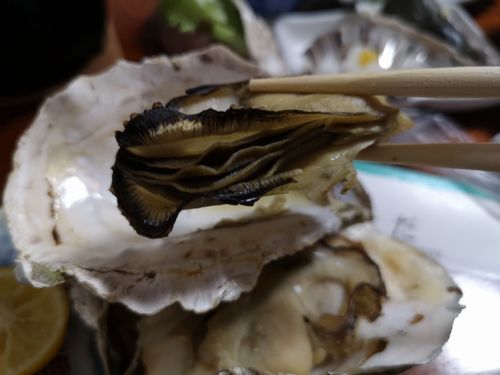 �Ƥ����ڡ֤��������ޡ�������