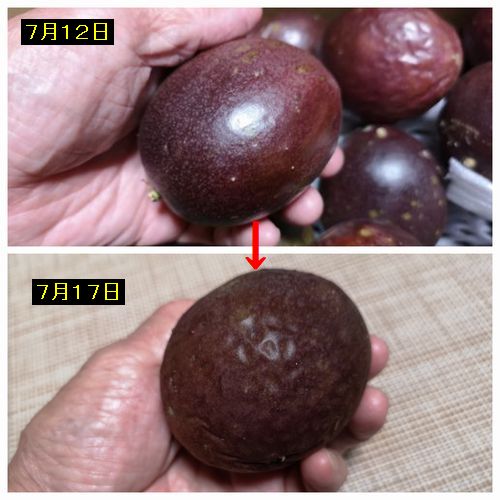 シワシワに