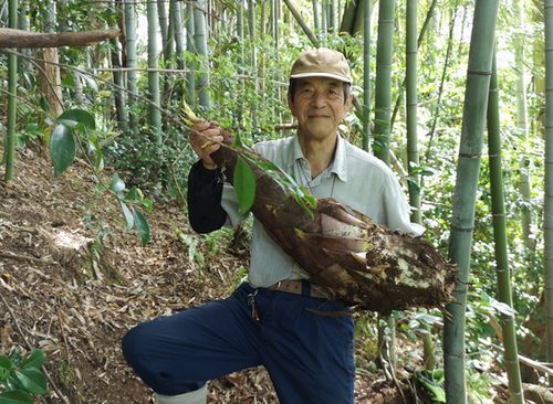 µðÂ祿¥±¥Î¥³