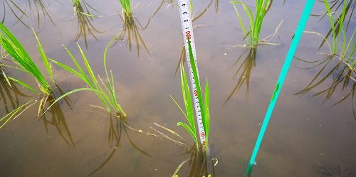 Áð¾æ¤Ï£³£°Ñ¤Ë¤Ê¤ê¤Þ¤·¤¿