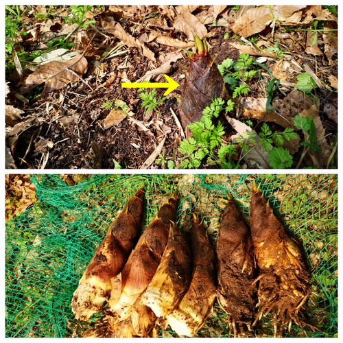 ����