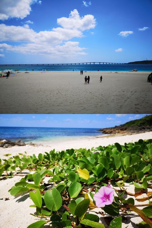 �����ͤ���������ŷ�����ɤ��Ƥ�������