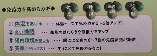 ÌȱÖÎϤò¹â¤á¤ë¥«¥®