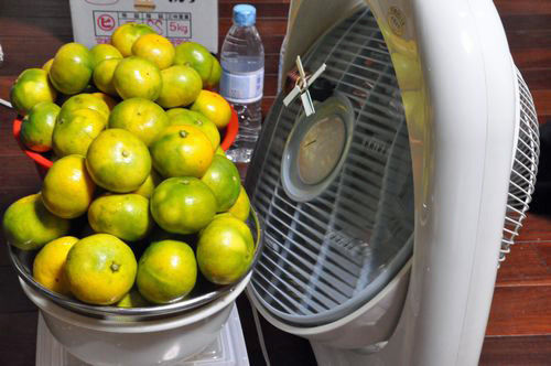 �Ĥ��ˡ����Ӥ���������֤��ޤ�