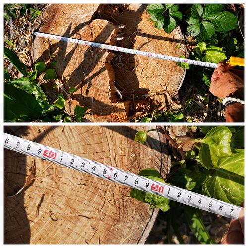 ľ�¤ϣ���cm