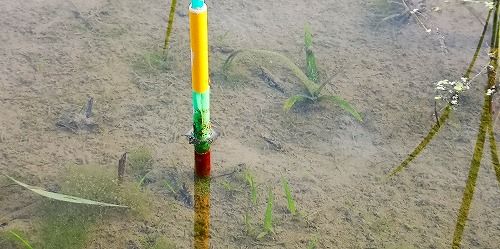 ¿å¿¼£µÑ¤Î¿¼¿å´ÉÍý