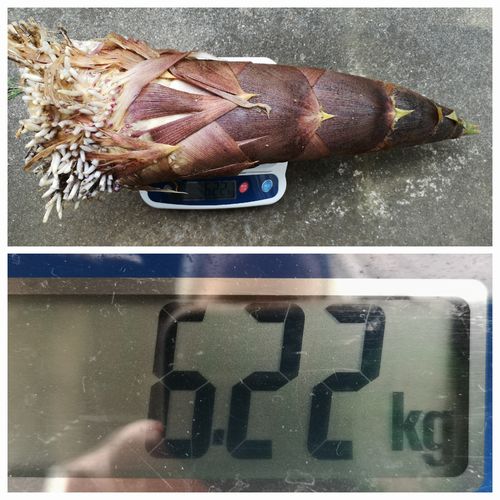 �Ť���¬���