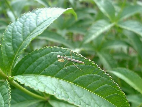 ������������Υ��ޥ��꤯��