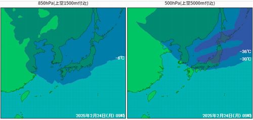 ����ͽ��