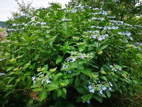 ���λ��۲֤��餭�Ϥ�ޤ���