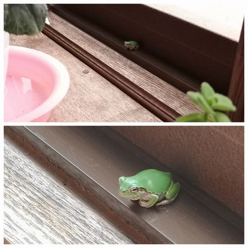 �֥ϥ�ʷ��פ���ޤ�