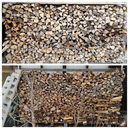 »Ä¤ê¤Ï£²Ãª¤Ç¤¹