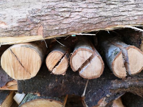 �٤��Ťˤϳ����ߤ�����Ƥ��ޤ�