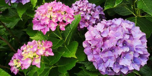 Çß±«¤Î²Ö»çÍÛ²Ö¤¬åºÎï¤Ç¤¹