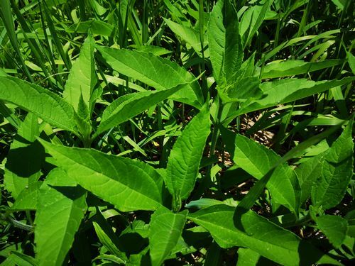 �褯����ȥ����������