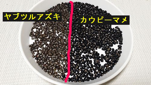 ����ʬ���Ƥߤޤ���