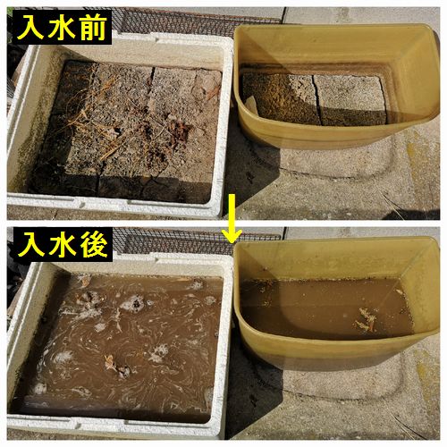 £µ·î£µÆüÆþ¿å