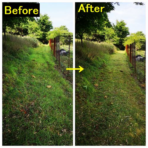 �󣴣�m����ƻ���𴢤Ǥ�