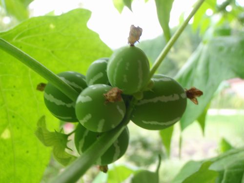 �ʡ��ʡ��ʤ�ȡ���������