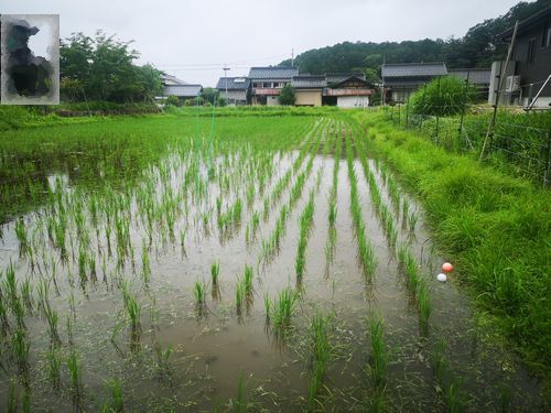 ����Ǥ����Τϣ������ǣ�����