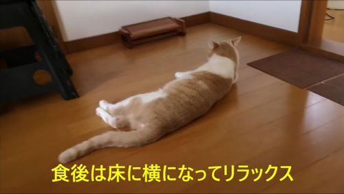 ���˲��ˤʤäƥ��å����Ǥ�