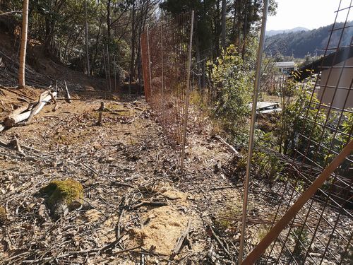 ������;�꤫���Ƥ褦�䤯Ȳ��Ф��ޤ�����